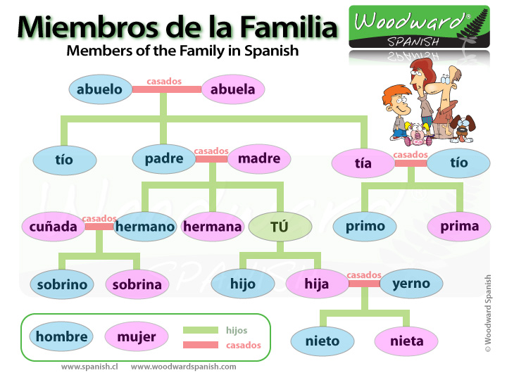 Members of the Family in Spanish