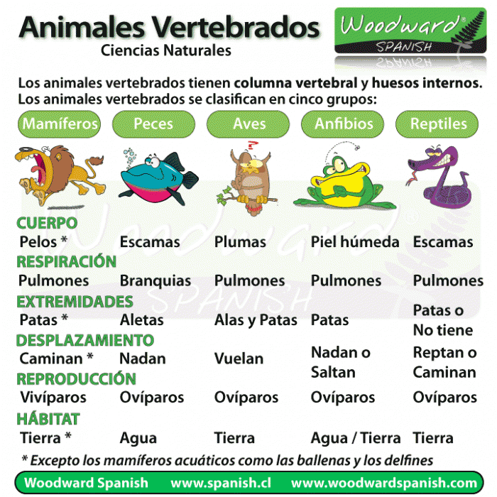 Los animales vertebrados, su clasificación y características.