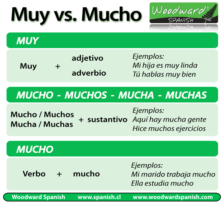Muy Vs Mucho Woodward Spanish