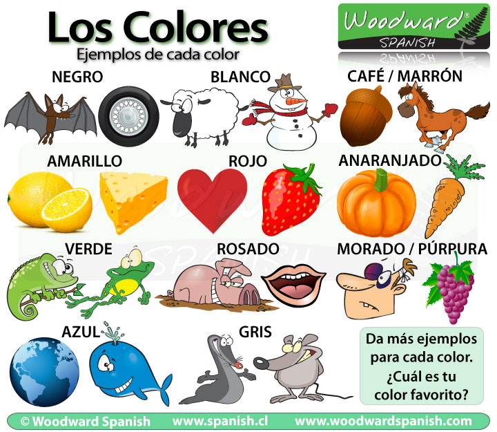 Ejemplos de cosas que son de color negro, blanco, marrón, amarillo, rojo, anaranjado, verde, rosado, morado, azul, gris.