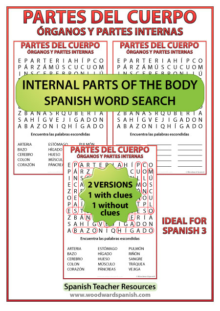 Spanish Internal parts of the body Word Search. Sopa de letras - Partes del cuerpo - Los órganos y partes internas
