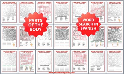 Spanish Parts of the Body Word Search Bundle - Partes del cuerpo humano - Sopa de letras