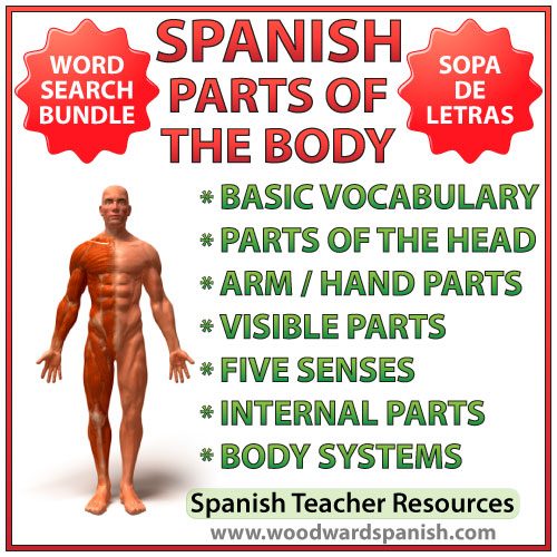 Spanish Parts of the Body Word Search Bundle - Partes del cuerpo humano - Sopa de letras