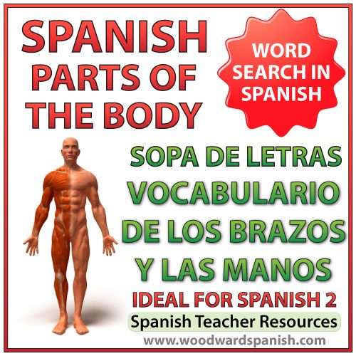 Parts of an Arm and Hand Spanish Vocabulary Word Search - Sopa de letras - Vocabulario de los brazos y las manos