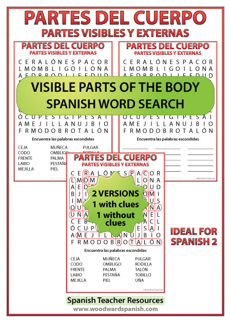 External parts of the body in Spanish word search. Partes externas y visibles del cuerpo humano - Sopa de letras