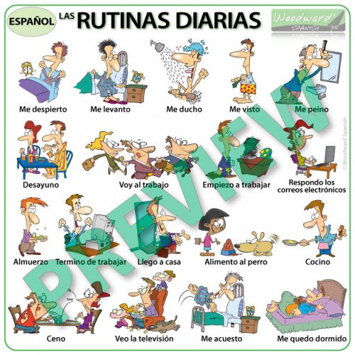 Spanish daily routines summary chart - rutinas diarias en español