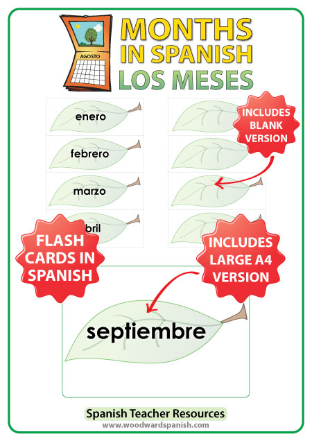 Spanish Flash Cards with the months of the year. Tarjetas con los meses del año en español