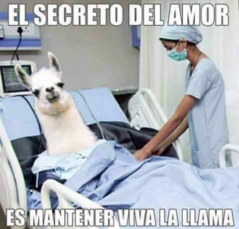 El secreto del amor