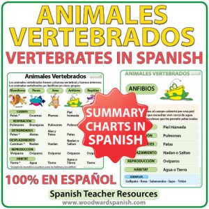 Summary charts about Vertebrates in Spanish. Afiches con las características de los animales vertebrados en español.