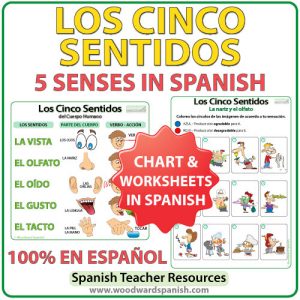 Los cinco sentidos en español. The five senses in Spanish - Worksheets and Chart.