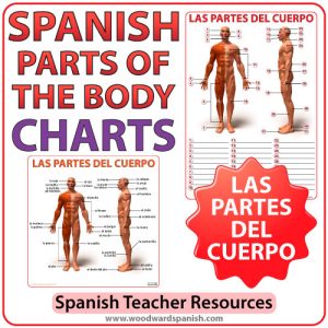 Spanish Parts of the Body Chart - Las Partes del Cuerpo en Español