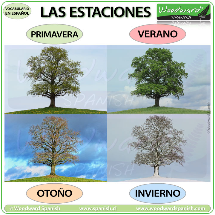 Spanish Seasons - primavera, verano, otoño, invierno - las estaciones en español