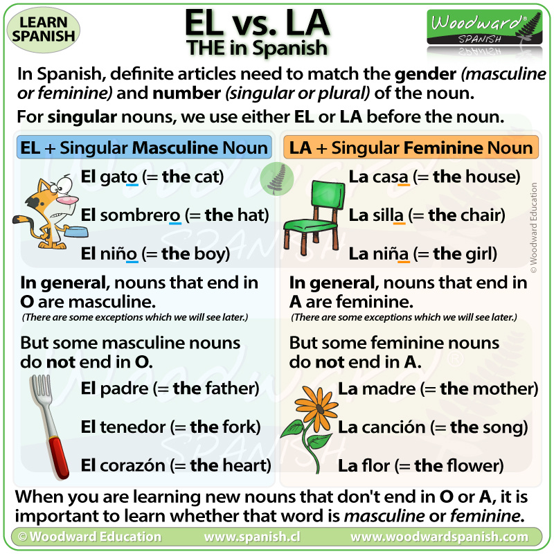 THE in Spanish - EL vs LA - Learn Basic Spanish with Woodward Spanish